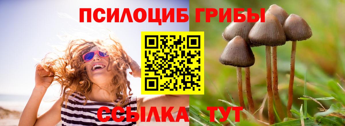 Новокузнецк  Псилоцибиновые грибы MAGIC MUSHROOMS  Галлюциногенные грибы Magic Shrooms  Вход с VPN 