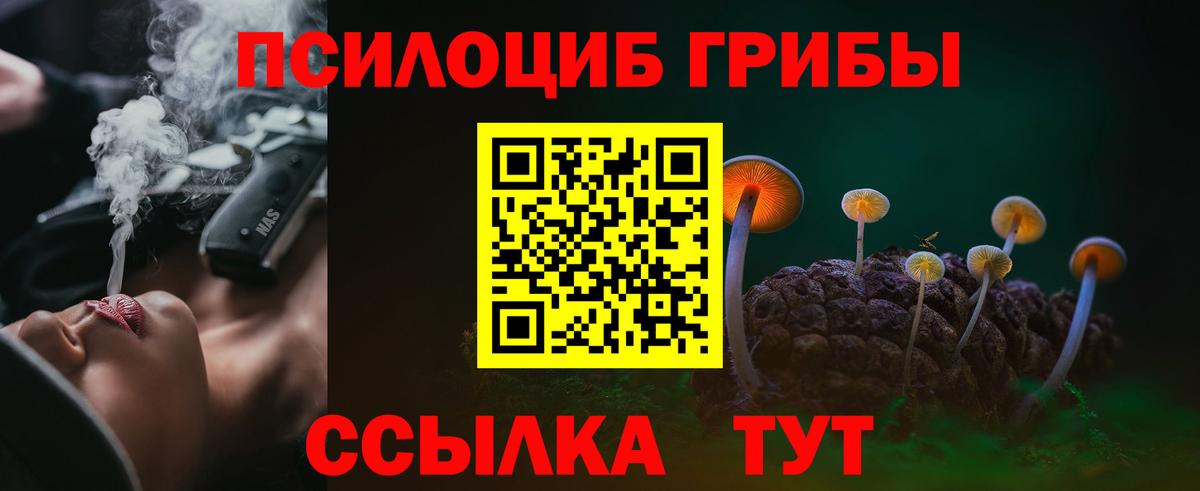 Псилоцибиновые грибы Cubensis Новокузнецк
